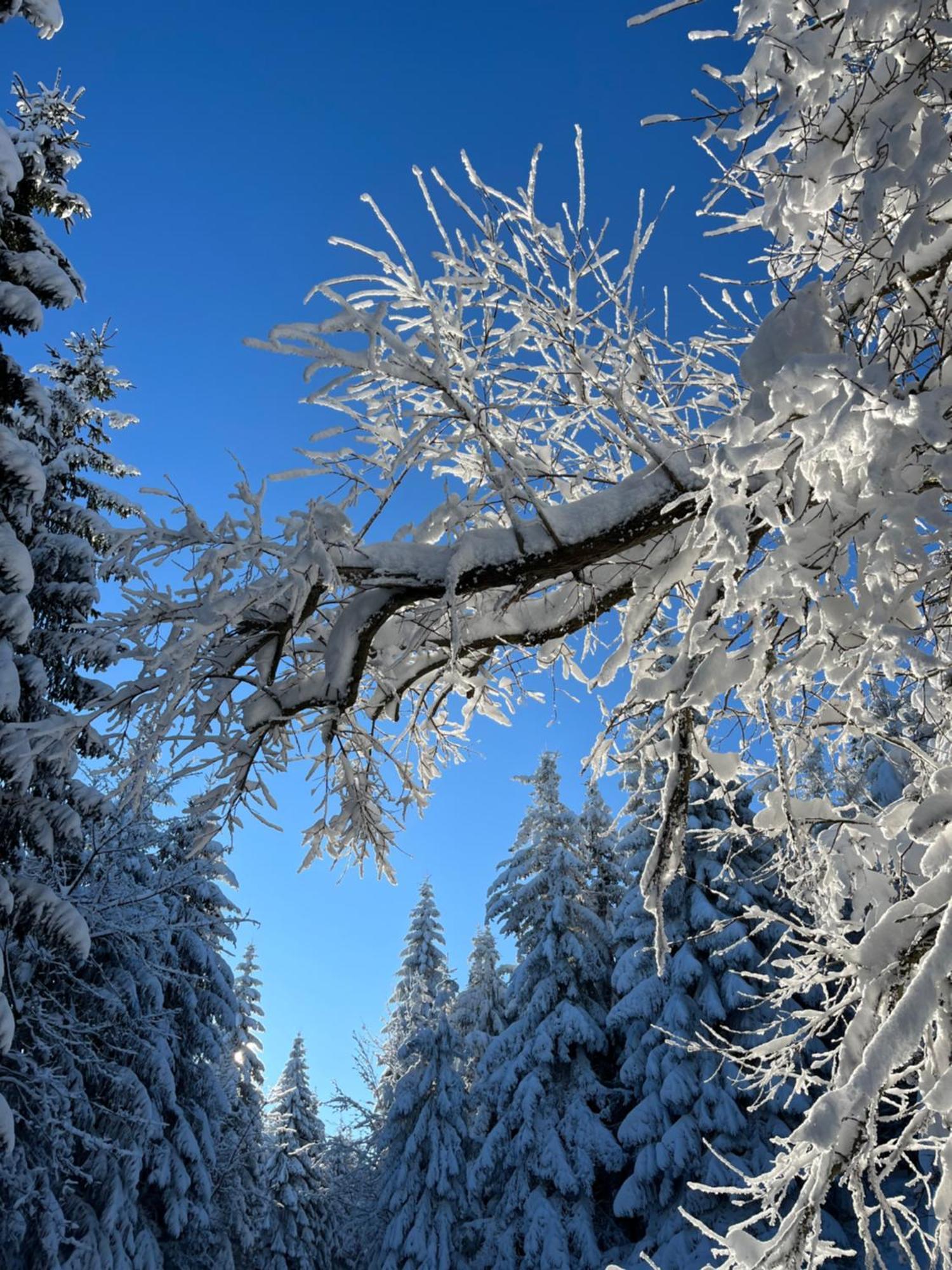 Woodyou - Izerski Resort Świeradów-Zdrój Exterior foto